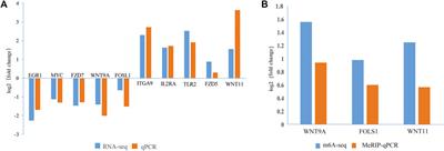 Comprehensive Analysis of Transcriptome-wide m6A Methylome Upon Clostridium perfringens Beta2 Toxin Exposure in Porcine Intestinal Epithelial Cells by m6A Sequencing